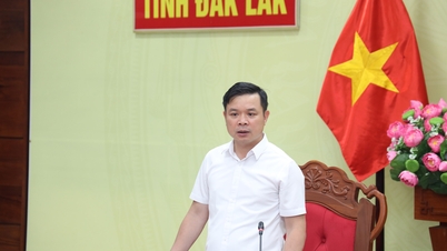 Pertemuan Kelompok Kerja yang membantu Komite Pengarah untuk mencapai target pertumbuhan ekonomi dua digit di provinsi Dak Lak untuk periode 2026-2030.