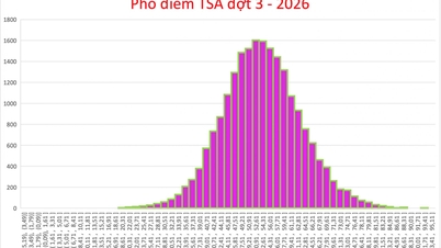 Toppscoreren i tredje runde av TSA-eksamenen er en student fra Hai Phong, som scoret svært nær 94-poengsmerket.