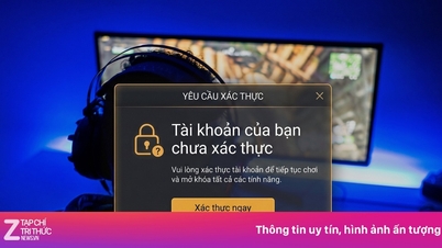 Vietnamští hráči to musí udělat do 1. července.