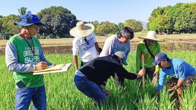 Le Vietnam et les Philippines coopèrent pour garantir la sécurité alimentaire.