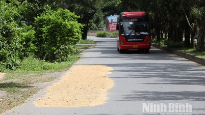 Siết chặt quản lý, xử lý nghiêm tình trạng đốt rơm rạ và phơi nông sản trên đường giao thông