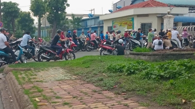 TPHCM bố trí 15.547 tỷ đồng hỗ trợ tạo việc làm, hơn 82.000 lượt lao động được vay vốn ổn định cuộc sống