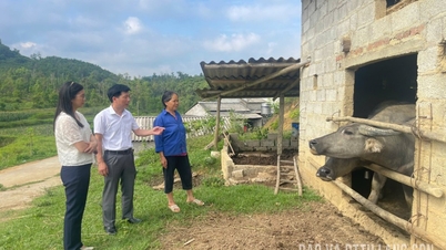 ການປ້ອງກັນພະຍາດປາກເປື່ອຍຈາກໄລຍະໄກ