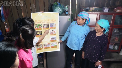 Changer les mentalités pour construire un écosystème alimentaire sûr.