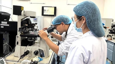 Người vi phạm liêm chính khoa học có thể bị thu hồi kinh phí, hủy kết quả