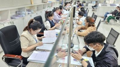 Come avviene a Ho Chi Minh City la riassegnazione dei funzionari e dei dipendenti pubblici in esubero?