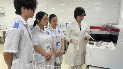 Étudiants de l'Université de médecine et de pharmacie de Thai Binh : Passionnés par la recherche scientifique.