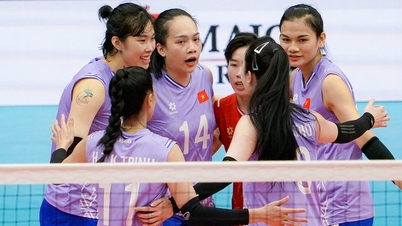 Pasukan bola tampar wanita Vietnam telah berkumpul dan akan bertanding dalam beberapa kejohanan berturut-turut.