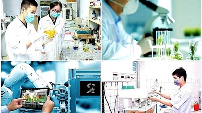 Los incentivos fiscales no son suficientes para que las empresas de ciencia y tecnología logren avances significativos.