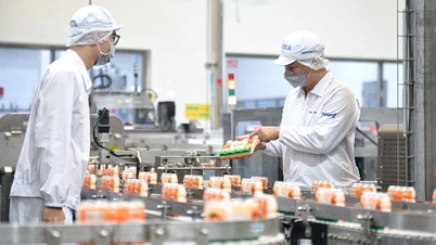 Viktiga meddelanden angående export av ris, skaldjur och mejeriprodukter till Kina från och med 1 juni.