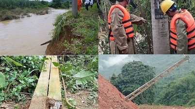 Garantizar que la infraestructura tecnológica y el suministro eléctrico estén disponibles para responder a todas las situaciones.