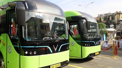 ESCUCHANDO LAS SUGERENCIAS DE LOS CIUDADANOS: Autobuses gratuitos: ¿Cómo competir con los vehículos privados?