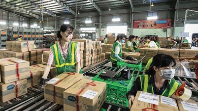 Vietnamský e-commerce průmysl zrychluje: Od prodejních závodů k hluboké konkurenci.