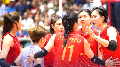 Det vietnamesiske kvinnelige volleyballlaget har samlet seg og skal konkurrere i flere turneringer på rad.