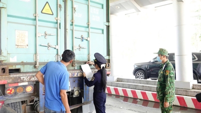Tay Ninh tartomány 15-16%-os exportnövekedést prognosztizál 2030-ra.