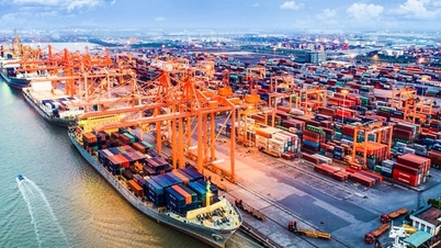 Die Logistikkosten setzen die Exporte nach Südamerika unter Druck.