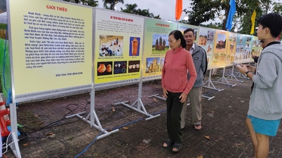 Mostra tematica “Patrimonio culturale di Binh Dinh - Identità e potenziale”