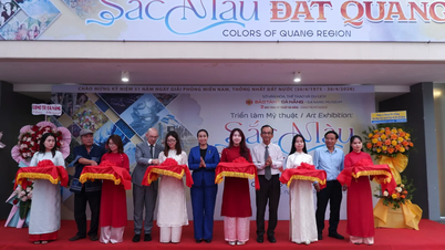 Mostra d'arte "I colori della terra di Quang Nam"