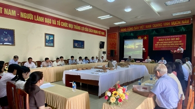 RELAZIONE PRELIMINARE SUI RISULTATI DEGLI SCAVI DELLE ROVINE DI DAI HUU NEL VILLAGGIO DI CHANH MAN, COMUNE DI CAT NHON, DISTRETTO DI PHU CAT