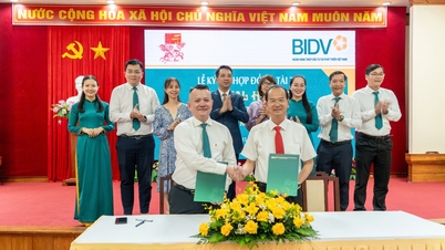 BIDV COLLABORA CON HUE FESTIVAL 2026 IN QUALITÀ DI "SPONSOR DI BRONZO"