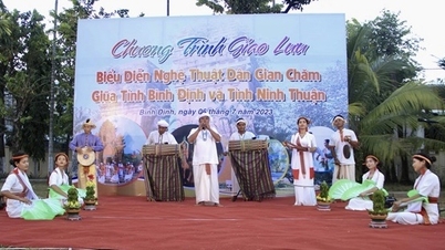 SPETTACOLI DI ARTE FOLKLORISTICA CHAM PRESSO LE ANTICHE TORRI DI BINH DINH