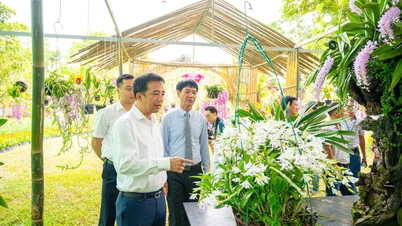 CERIMONIA DI APERTURA DELLA MOSTRA 2026 DI ORCHIDEE, PIANTE ORNAMENTALI E PIETRE PAESAGGISTICHE PROVENIENTI DA TRE REGIONI DEL VIETNAM