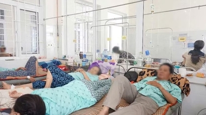 Wakil Ketua Provinsi Gia Lai telah meminta penyelidikan atas dugaan insiden keracunan makanan yang disebabkan oleh mengonsumsi roti.