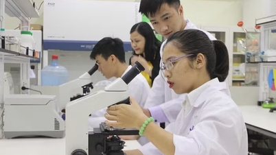 The University of Education is offering a Biology Teacher Training program with a focus on teaching in English.