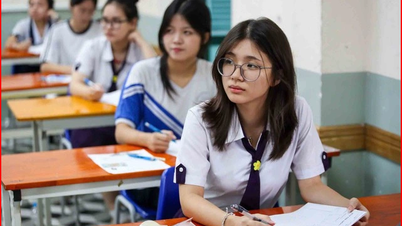 Guidelines for admission to university and college-level Early Childhood Education programs in 2026