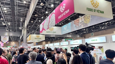 Empresas vietnamitas participan en la Feria Internacional de Alimentos de Seúl 2026.