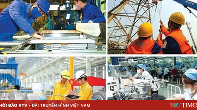 2万5000社の企業が持続可能なビジネス慣行を実現できるよう支援することを目指しています。