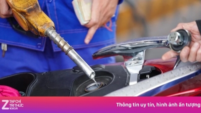 Di mana saya boleh melaporkan petrol berkualiti rendah?