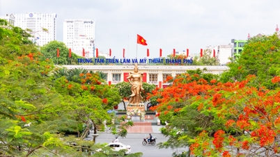 Hai Phong staat in mei prachtig in het bloemenveld.