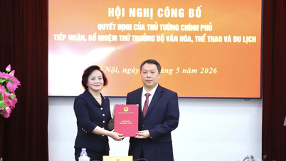 The Deputy Prime Minister presented the decision on the appointment of the Deputy Minister of Culture.