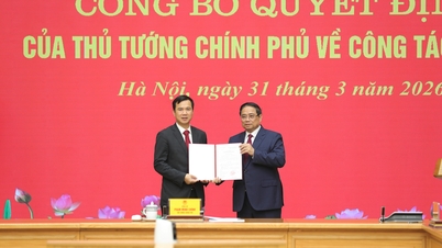 The Prime Minister has appointed Associate Professor Dr. Bui The Duy as Director of Hanoi National University.