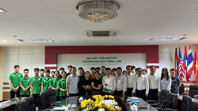 L'Università di Agricoltura e Silvicoltura di Thai Nguyen accoglie una delegazione di professori dell'Università di Tung Hai (Taiwan) per una visita e uno scambio di cooperazione.