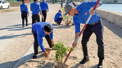O Cluster nº 5 da União Provincial da Juventude de Khanh Hoa está implementando o projeto juvenil "Estrada das Flores de Bougainvillea".