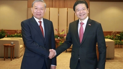 Continuar implementando y concretando el marco de la Asociación Estratégica Integral entre Vietnam y Singapur.