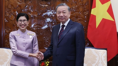 Die umfassende strategische Partnerschaft zwischen Vietnam und Thailand auf ein neues Niveau heben.