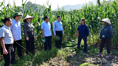 La commune de Binh Xa examine proactivement les tâches et améliore l'efficacité globale de leur mise en œuvre dans la nouvelle situation.
