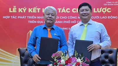 La ciudad de Ho Chi Minh contará con 15.000 viviendas adicionales para trabajadores.