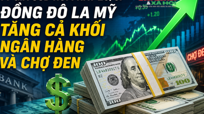 Taux de change du dollar américain aujourd'hui, 26 mai : Le dollar américain s'apprécie aussi bien sur le marché bancaire que sur le marché noir.