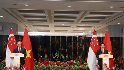 Đại sứ Singapore: Quan hệ Việt Nam - Singapore đang phát triển với động lực mạnh mẽ