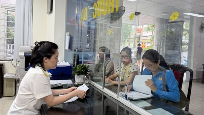 Le entrate fiscali di base per il bilancio statale hanno superato i 281,8 miliardi di VND - Giornale online Cao Bang