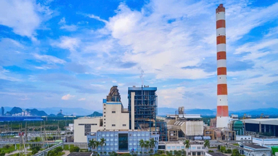 Tới lượt Tổng giám đốc Nhiệt điện Hải Phòng bị khởi tố: Vốn hóa hơn 5.200 tỷ, nhiều ngày sụt giảm