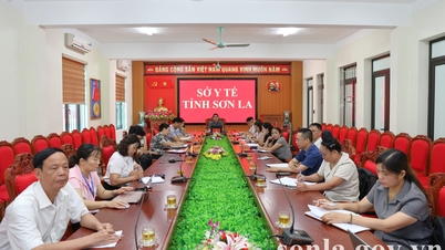 Bộ Y tế phổ biến và hướng dẫn thi hành một số điều của Luật Phòng bệnh