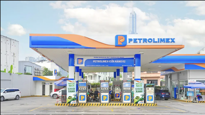A gasolina E10 é adequada para todos os tipos de veículos e não foram relatados impactos negativos nos motores.
