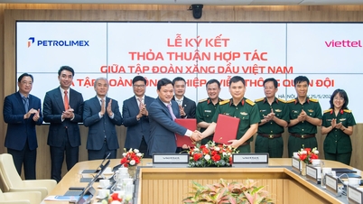 Viettel dan Petrolimex menggalakkan transformasi digital dan peralihan tenaga hijau.