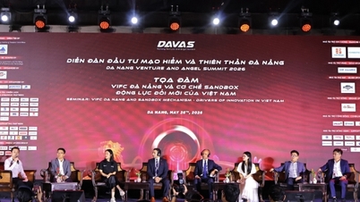 Hệ sinh thái startup Đà Nẵng bước vào 'chu kỳ tăng trưởng mới'
