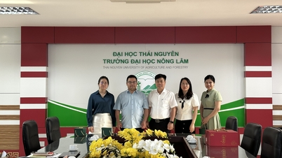 Discussioni sulla cooperazione con l'ASEAN International Publishing Center, Università di Tianjin (Cina)